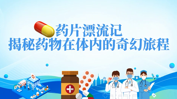 药片漂流记 揭秘药物在体内的奇幻旅程