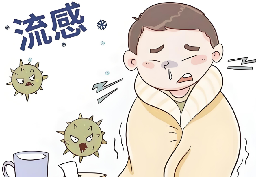 流感科普小知识