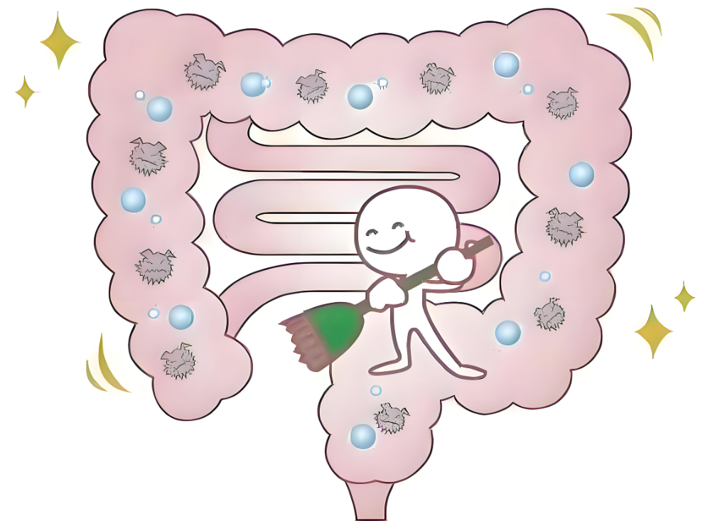 肠健康、常健康