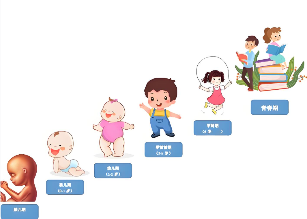 孩子性发育的正常顺序你知道吗？