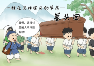 一株让死神回头的草药&mdash;&mdash;墓头回