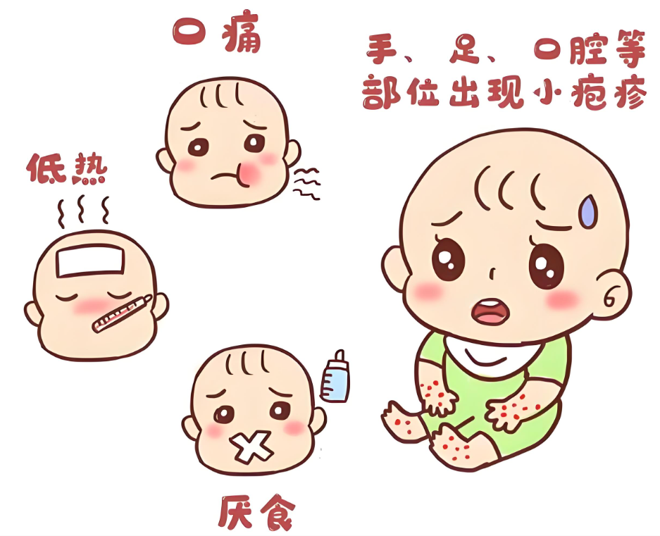 春夏手足口病高发：读懂防护知识，稳稳守护孩子安康