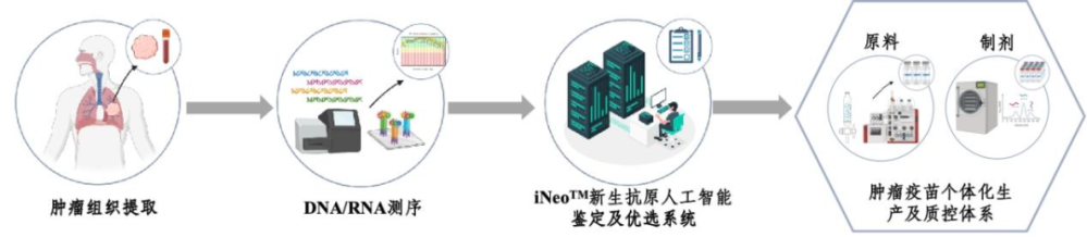 重磅新政落地！6类消化系统肿瘤患者迎来&ldquo;定制疫苗&rdquo;，唯一的机会需术前决定！