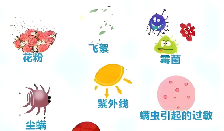 关于过敏原检测，您需要知道的几件事