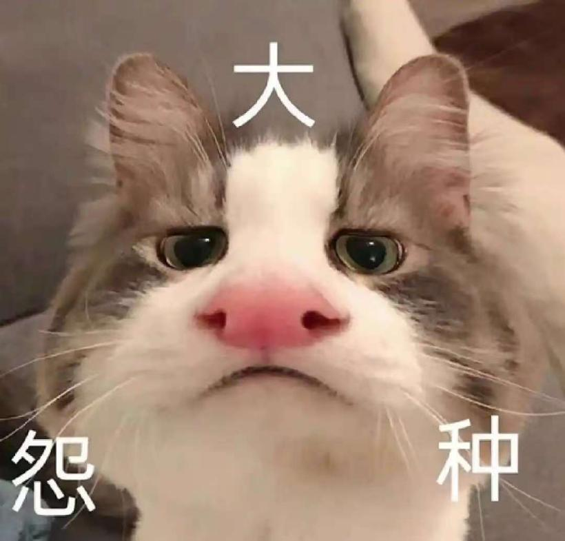 图片13.png