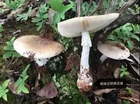 图片5.jpg