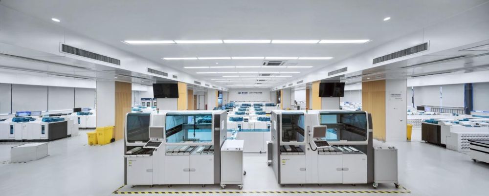 1761793784383783.jpg 图片4.jpg