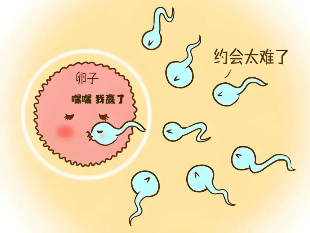 1761889184334137.png 640.png