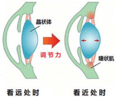 1783479586332605.png 图片2.png