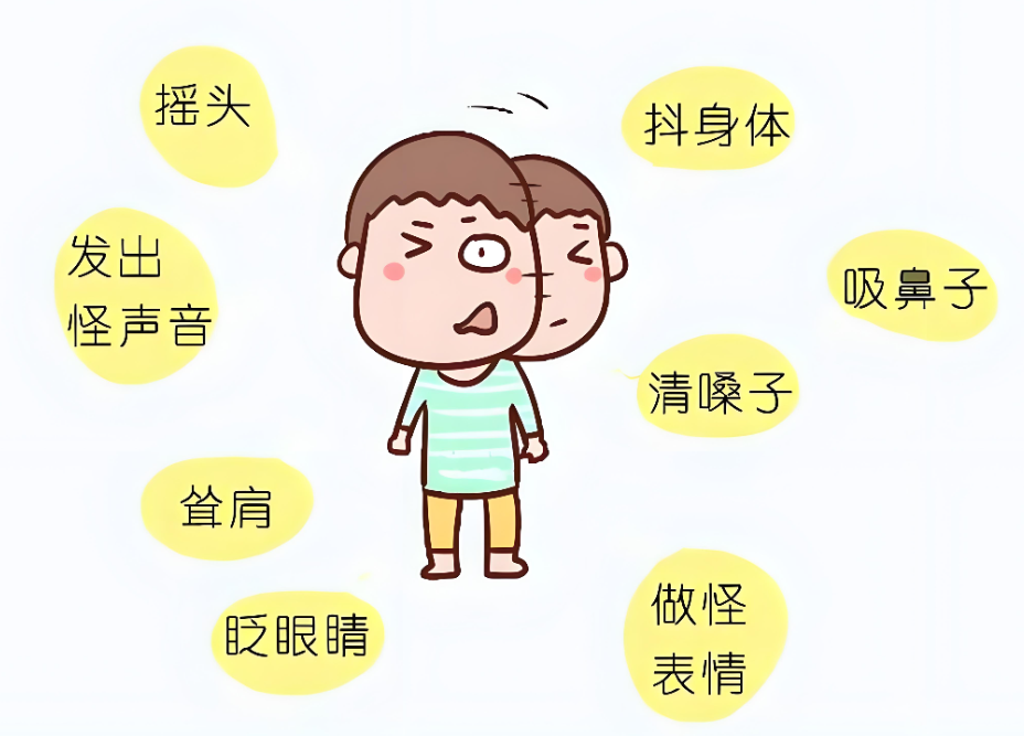 1783584575207707.png 8c36abfb-fbc6-4500-841b-7434618a6ef8.png