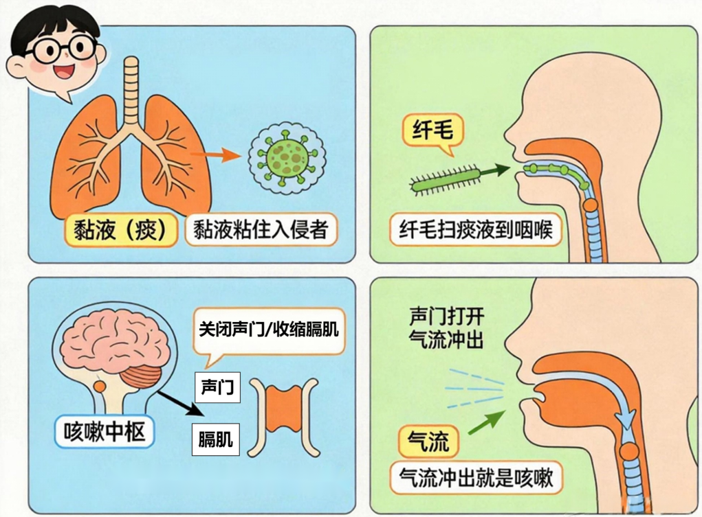 24f9867c-0e46-4350-93f1-fbd09329edb9.png
