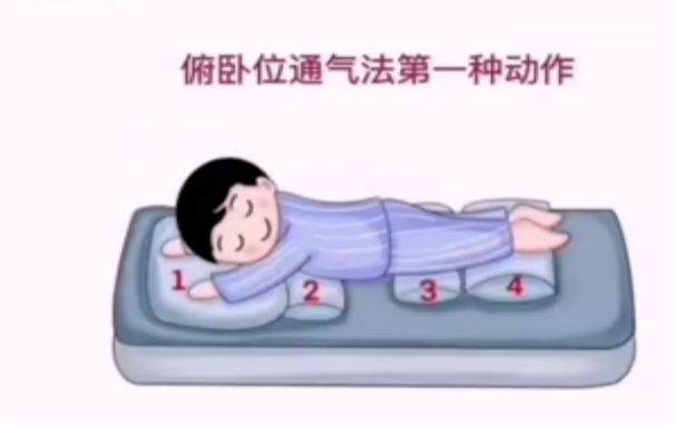 1787276532918422.png 图片1.png