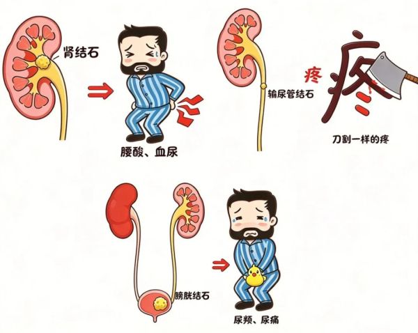 1792981146823441.jpg 图片2.jpg